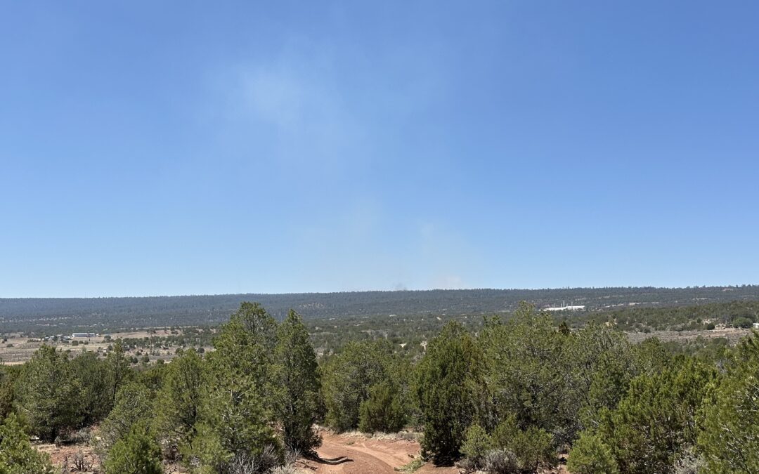 Update: July 5, 2025